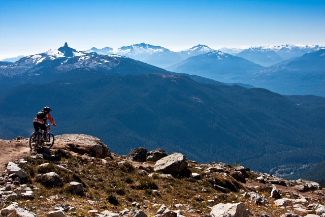Explora todo el paisaje